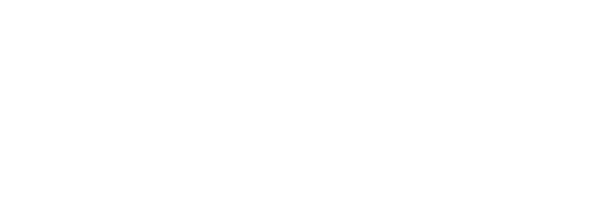Home 1 Pebbletec Elite Builder